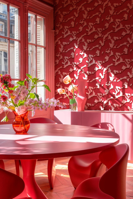 Coordonné Tapete Galope