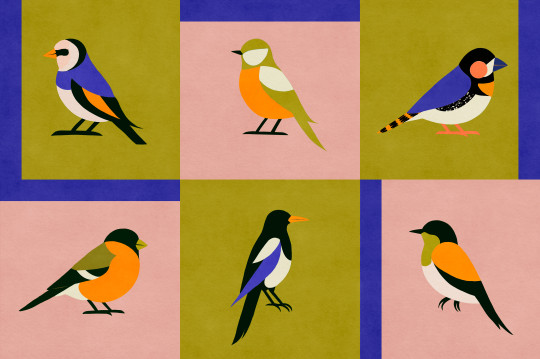 Coordonné Tapete Like a Bird - Cobalt