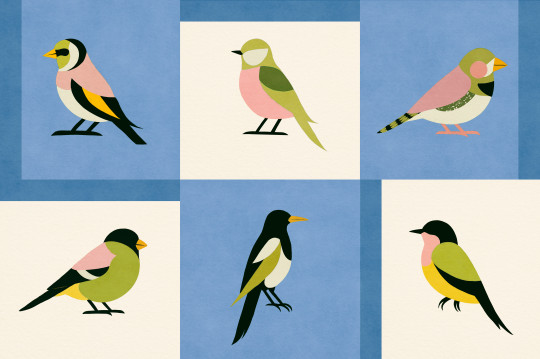 Coordonné Tapete Like a Bird - Blue