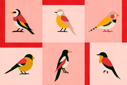 Coordonné Wallpaper Like a Bird - Pnk