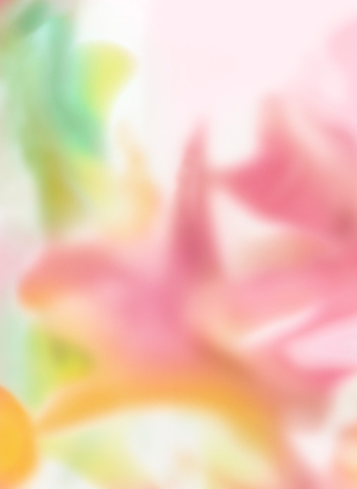 Coordonné Wandbild Maravillas - Pink