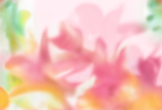 Coordonné Wandbild Maravillas - Pink