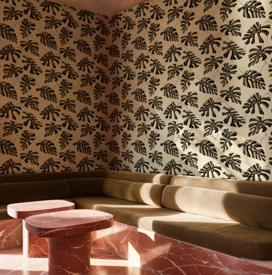 Tres Tintas Tapete Monstera