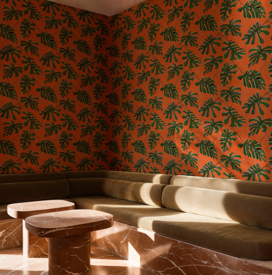 Tres Tintas Tapete Monstera