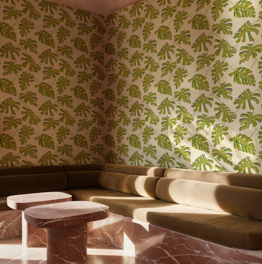 Tres Tintas Tapete Monstera