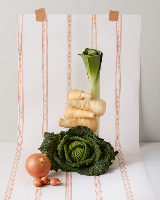 Scion Tapete Harvest Stripe