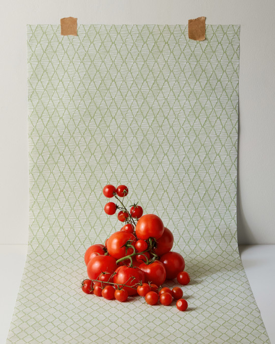 Scion Papier peint Triangle Trellis