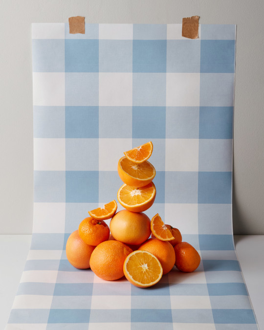 Scion Tapete Central Check