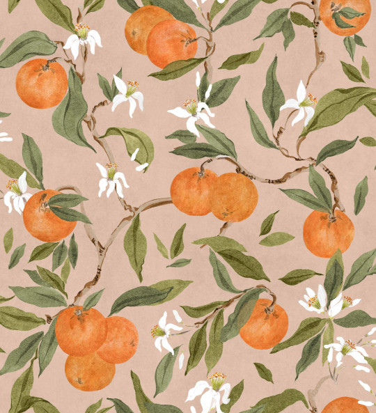 Coordonné Tapete Naranjos - Rosado