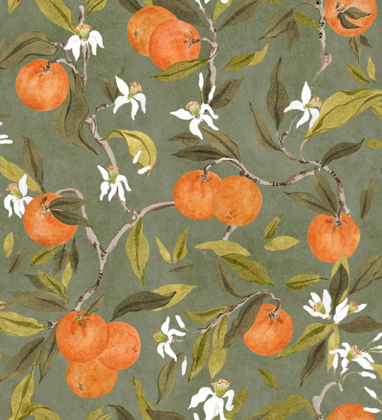 Coordonné Tapete Naranjos - Celadon