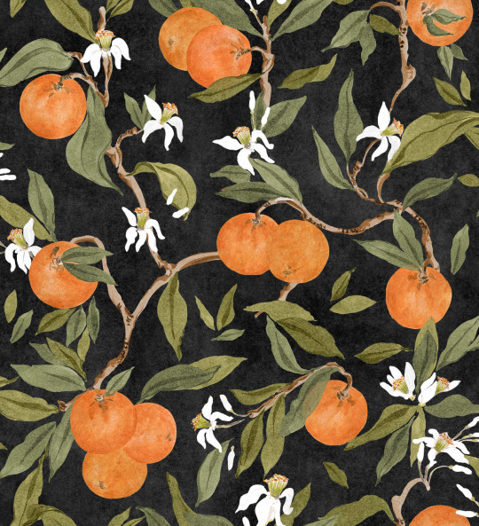 Coordonné Tapete Naranjos - Pizarra