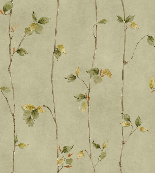 Coordonné Papier peint Azahar - Musgo