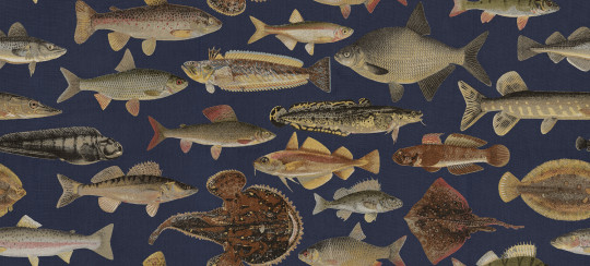 Sandberg Wandbild Scandinavian Fishes - Dark Blue