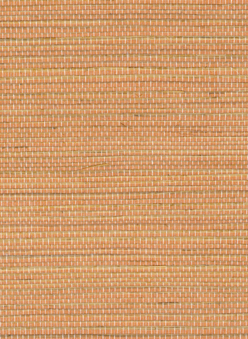 Élitis Papier peint Favoris - RM 1070 11