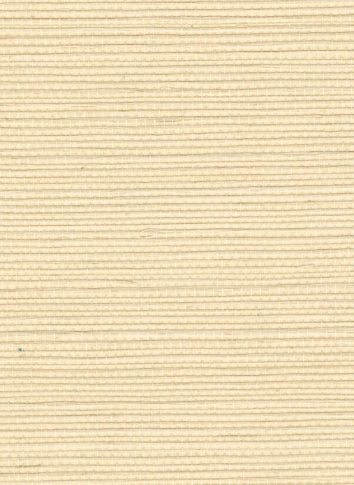 Élitis Tapete Sisal - RM 1069 02