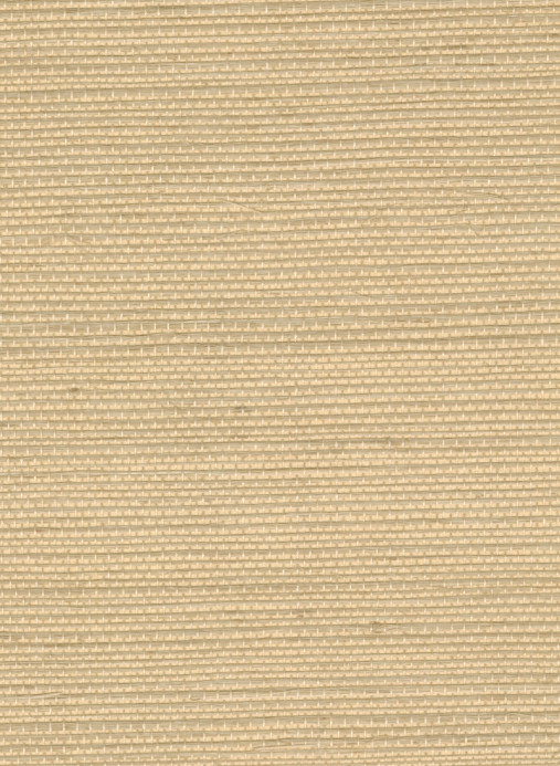 Élitis Papier peint Sisal - RM 1069 11