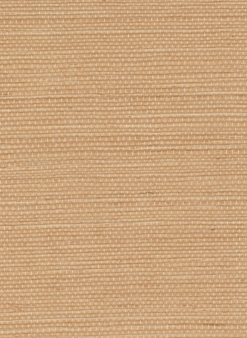 Élitis Papier peint Sisal - RM 1069 52