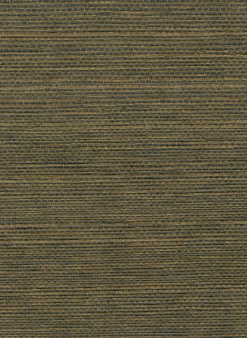 Élitis Tapete Sisal - RM 1069 60