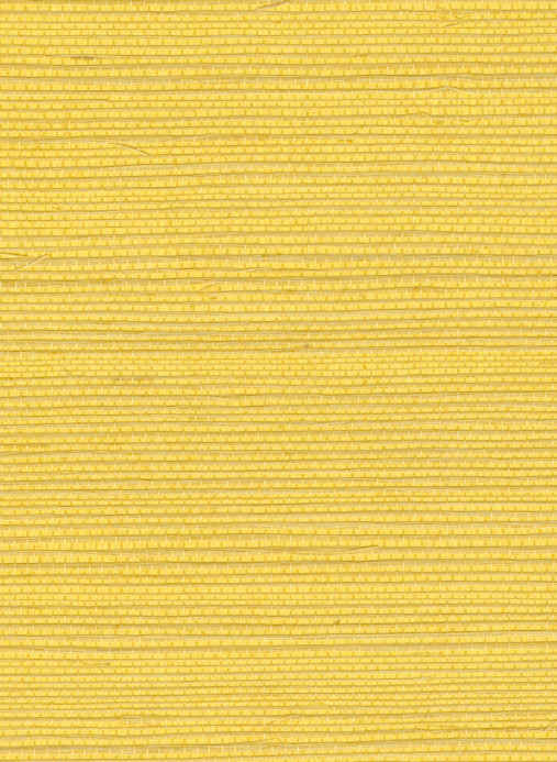 Élitis Papier peint Sisal - RM 1069 21