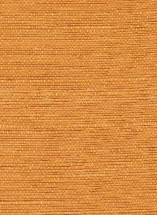 Élitis Wallpaper Sisal - RM 1069 22