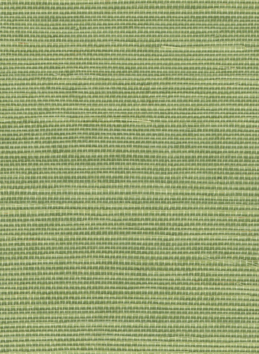 Élitis Papier peint Sisal - RM 1069 63