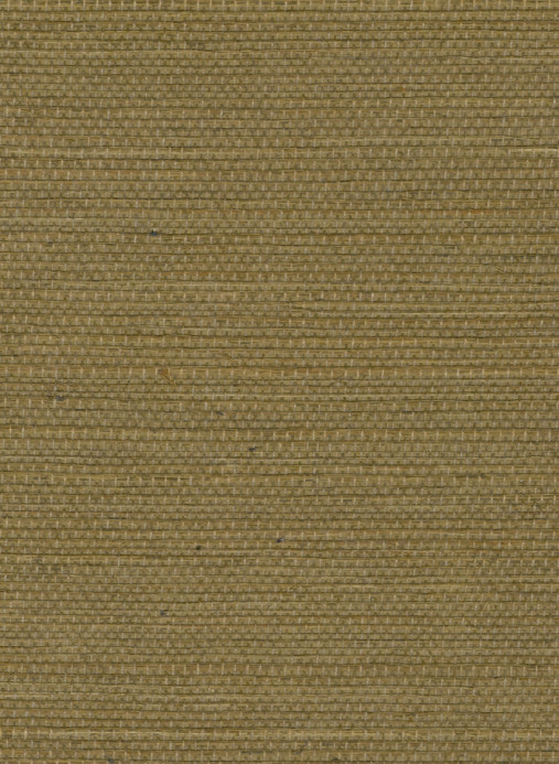 Élitis Wallpaper Sisal - RM 1069 66