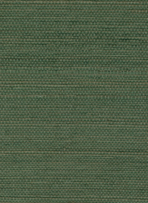 Élitis Wallpaper Sisal - RM 1069 62