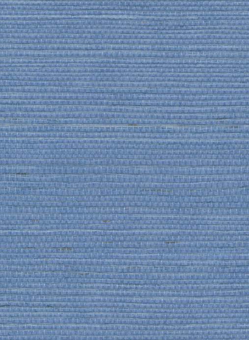 Élitis Papier peint Sisal - RM 1069 41