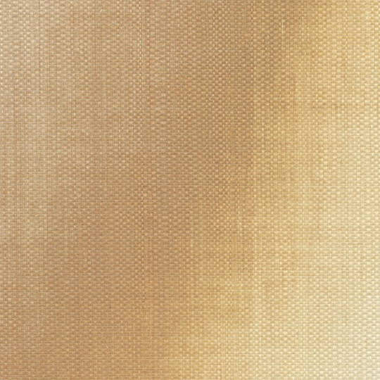 Élitis Papier peint Itzá - RM 1081 04