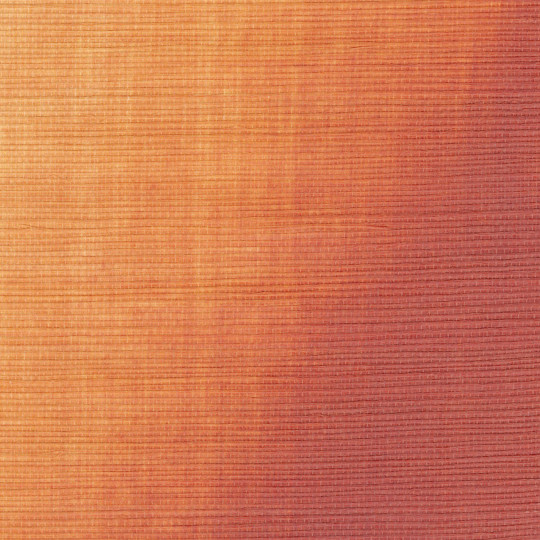 Élitis Papier peint Itzá - RM 1081 35
