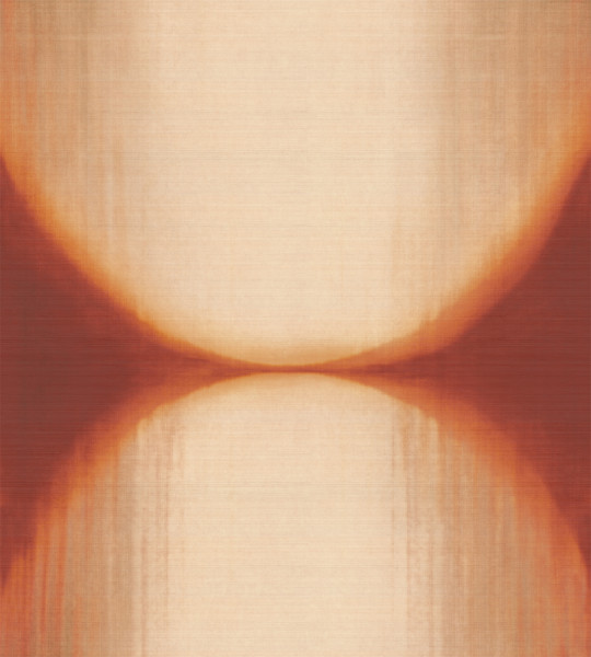 Élitis Papier peint Itzá - RM 1081 35