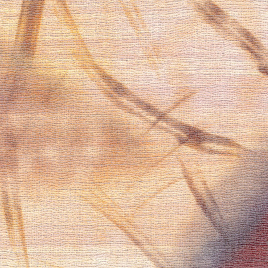 Élitis Mural Ballet - VP 1014 01