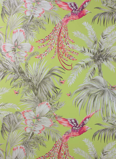 Tapete Bird of Paradise von Osborne & Little - Lemon/ Coral