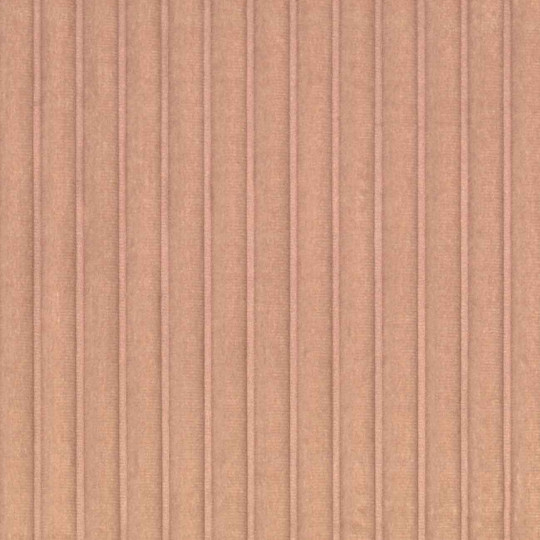 Élitis Tapete Colonne - RM 1044 51