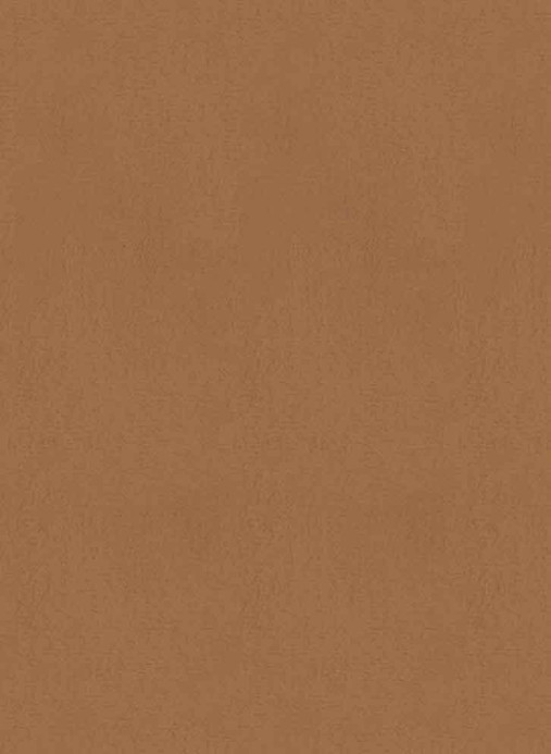Élitis Carta da parati Parthénon - RM 1045 05