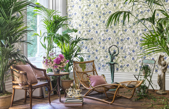 Cole & Son Tapete Iris