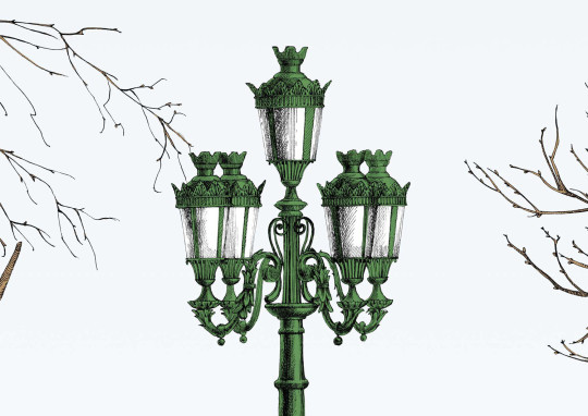 Edmond Petit Carta da parati Rue Jacob