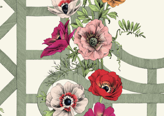 Edmond Petit Tapete Jardin d'Anémones - Orange/ Rouge