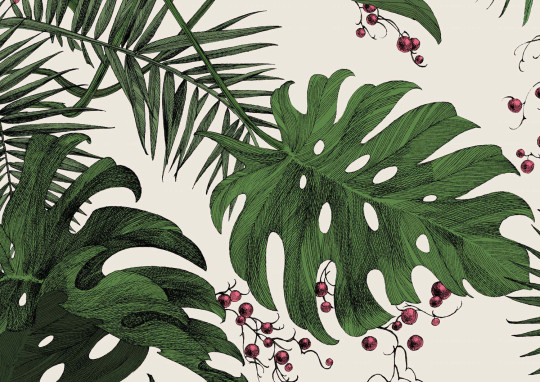 Edmond Petit Tapete Dentelle Végétale - Blanc/ Vert