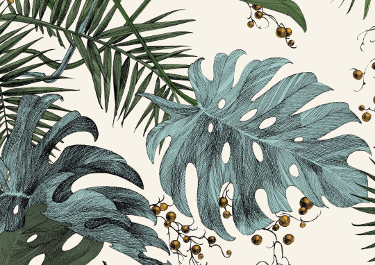 Edmond Petit Tapete Dentelle Végétale - Poudré