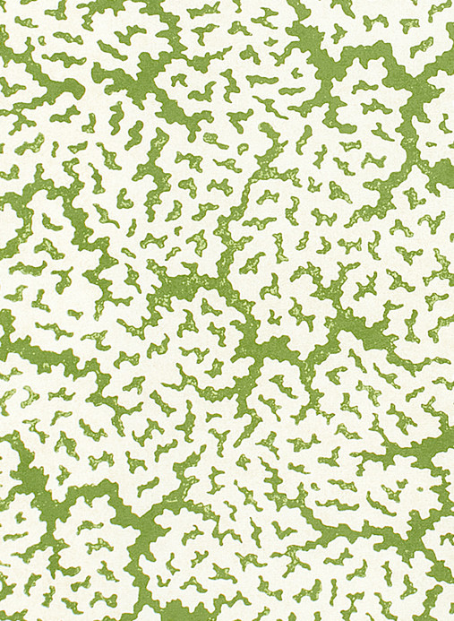 Thibaut Papier peint Maldives - Green