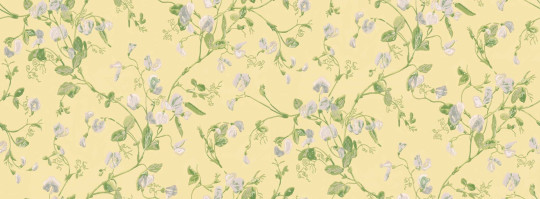 Tapete Sweet Pea von Cole & Son - Yellow
