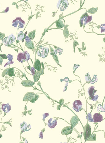 Tapete Sweet Pea von Cole & Son - Violet