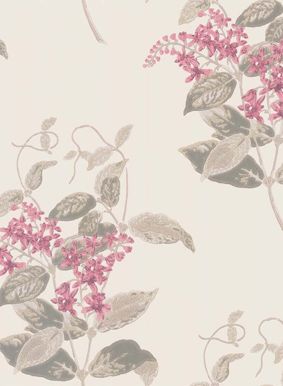 Tapete Madras Violet von Cole & Son - Pink