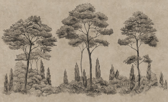 Sandberg Wandbild Andrea - Graphite