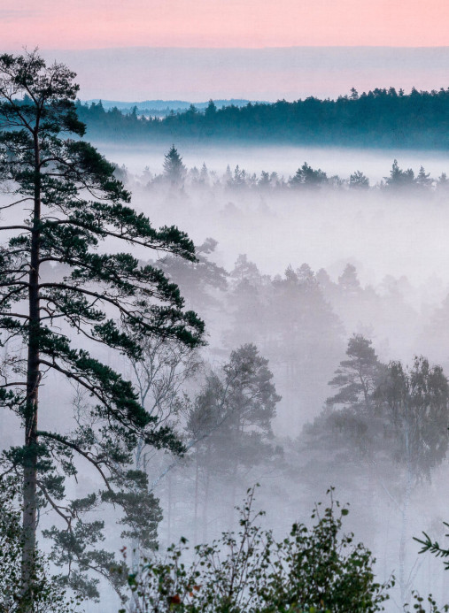 Boråstapeter Studio Papier peint panoramique Marie Mattsson Blå Timmen - 9778W