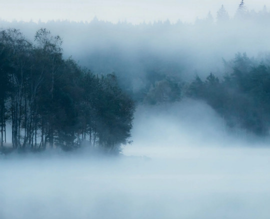 Boråstapeter Studio Papier peint panoramique Marie Mattsson Delsjön