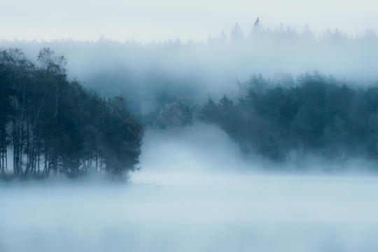 Boråstapeter Studio Mural Marie Mattsson Delsjön - 9780W
