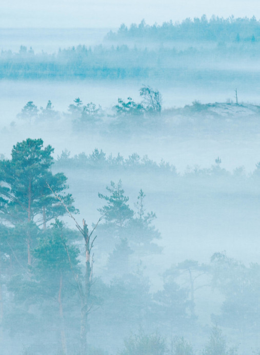 Boråstapeter Studio Wandbild Marie Mattsson Dimhav - 9779W