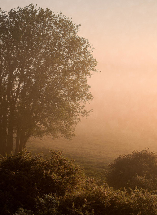Boråstapeter Studio Papier peint panoramique Marie Mattsson Kultmarken - 9776W